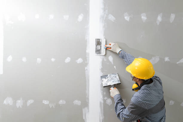 Best Repainting for Renovations  in Schaumburg, IL